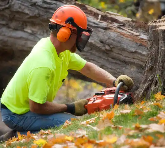 tree services Pagedale